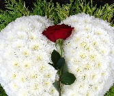 Our Love Will Go On. L H 13