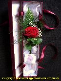 Valentines Boxed Rose VAL1
