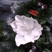 22 inch Spruce Door Wreath  XMAS14