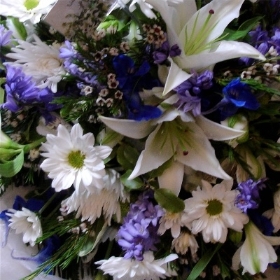 Blue and Cream Posy