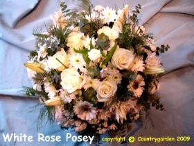 White Posy