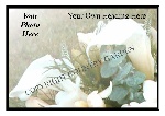 Blank memorial card BMC 22