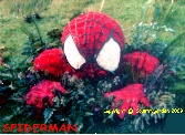 Spiderman. C H 4